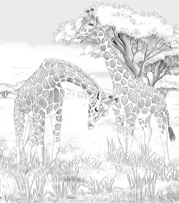 Tableau  Dessin noir et blanc avec des animaux