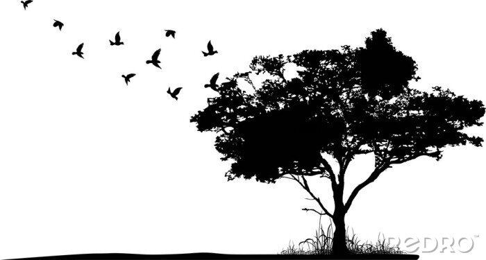 Tableau  Dessiner des oiseaux en noir et blanc et un grand arbre