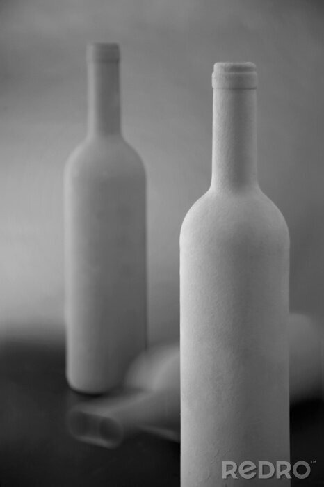 Tableau  Deux bouteilles blanches