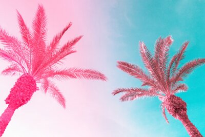 Tableau  Deux palmiers contre un ciel coloré