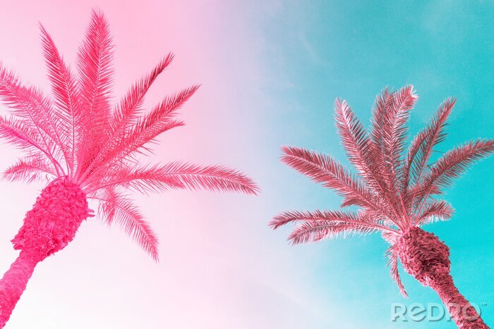 Tableau  Deux palmiers contre un ciel coloré
