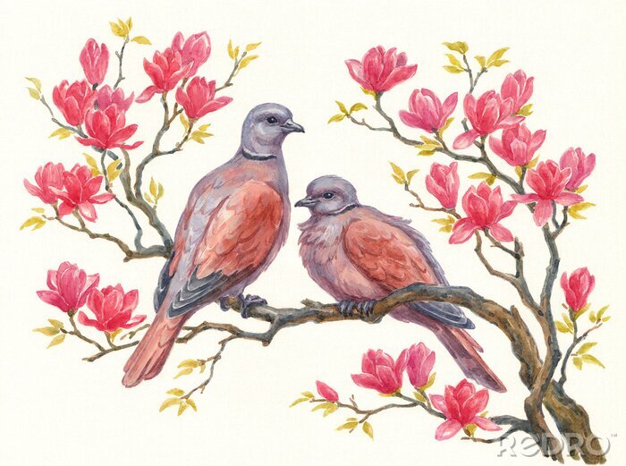 Tableau  Deux pigeons parmi les magnolias