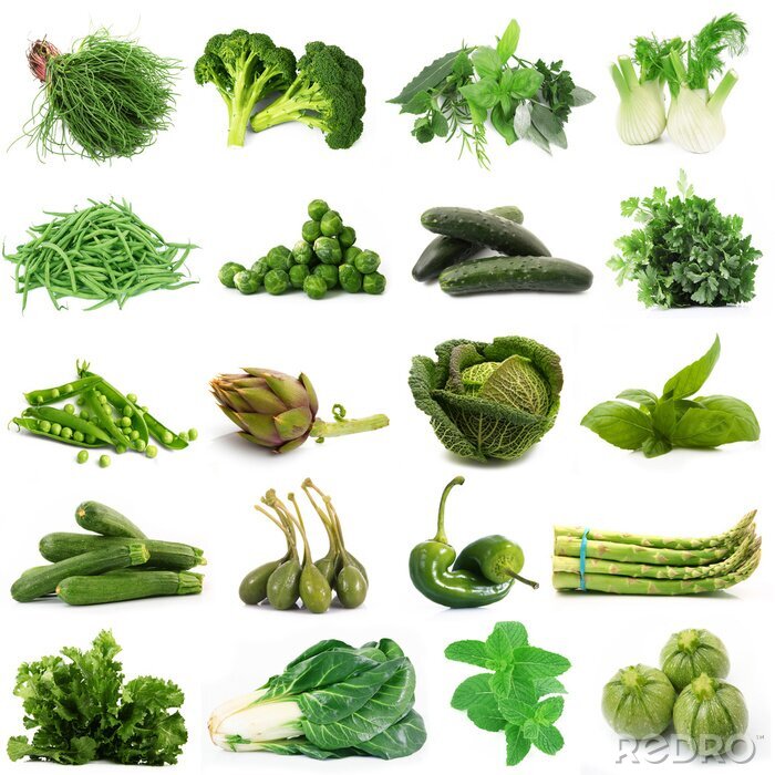 Tableau  Différents types de légumes verts