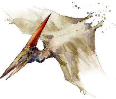 Tableau  Dinosaure volant peint à l'aquarelle