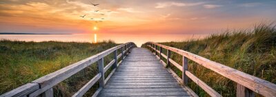 Tableau  Dunes along the North Sea at sunset, Germany