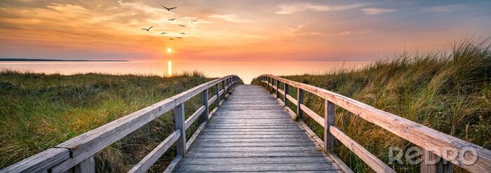 Tableau  Dunes along the North Sea at sunset, Germany