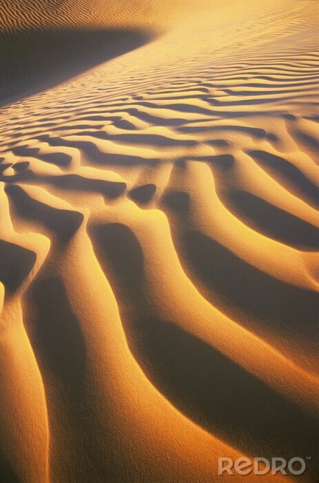 Tableau  dunes du désert