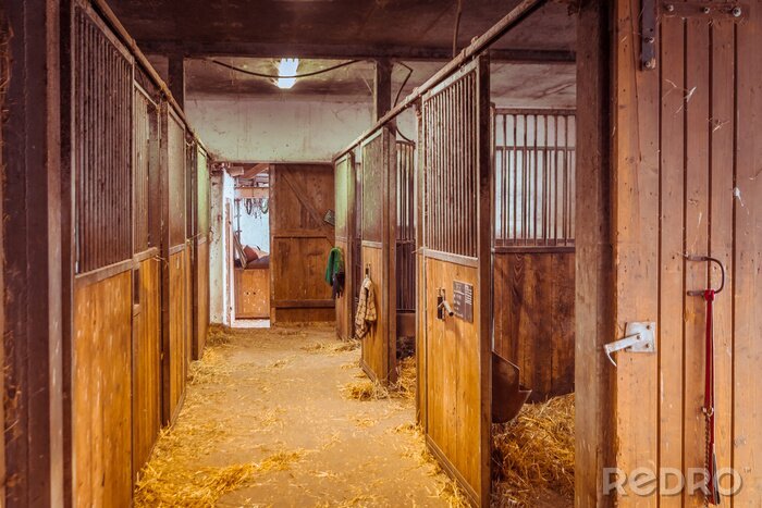 Tableau  Ecurie avec des boxes pour les chevaux