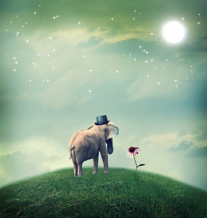 Tableau  Elephant contemplant une fleur