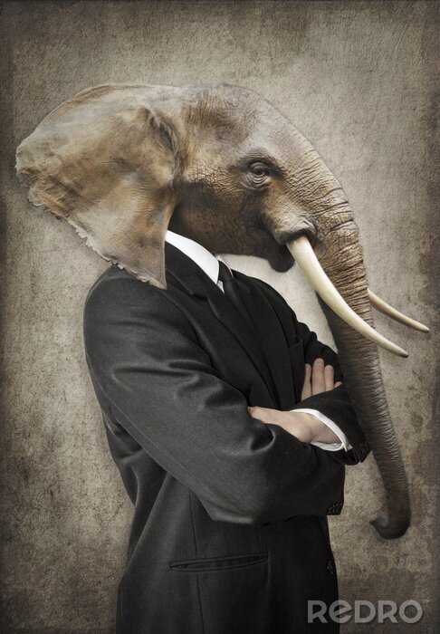 Tableau  Éléphant en costume. Homme à la tête d'un éléphant. Graphique du concept dans le style vintage.
