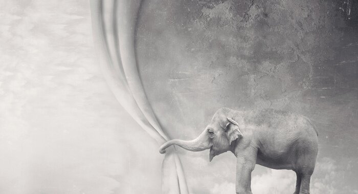 Tableau  Eléphant retenant un rideau