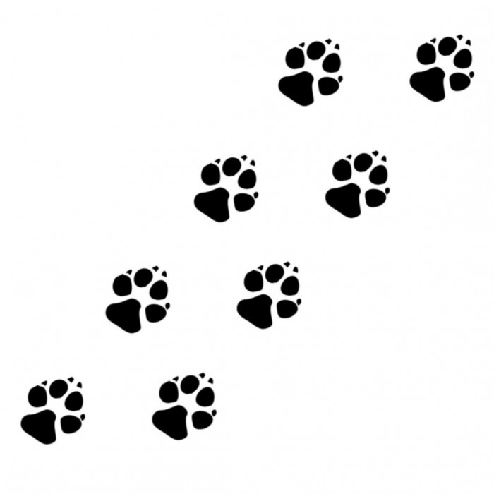 Tableau  Empreintes d'animaux noirs sur fond blanc