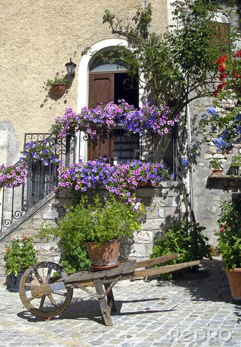 Tableau  Entrée avec des fleurs violettes