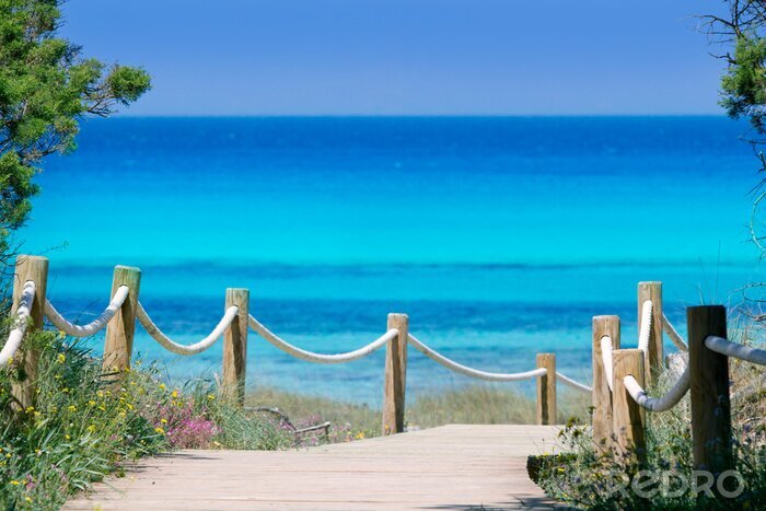 Tableau  Entrée de la plage et vue sur la mer