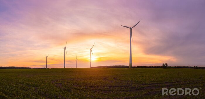 Tableau  éoliennes turbine parc éolien vent l'énergie éolienne contre-jour lever du soleil panoramique,