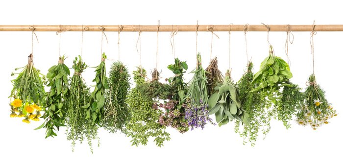 Tableau  Épices et herbes aromatiques sur un fond blanc