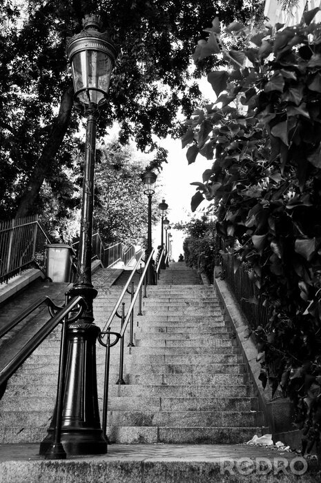 Tableau  Escaliers de conte de fées de Montmartre à Paris