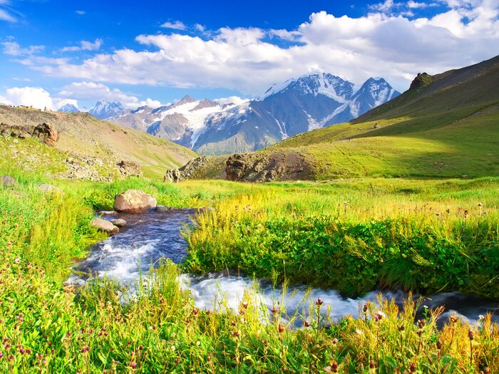 Tableau  Espaces verts et montagnes