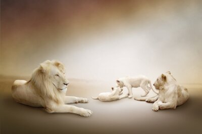 Tableau  Famille de lions