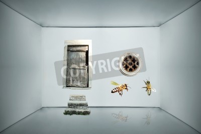 Tableau  Fantasy background with door, circular window and two bees inside a grey box carton