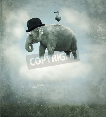 Tableau  Fantasy surrealistic background with an elephant with a hat and a gull that flying on a cloud in the sky