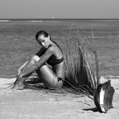 Tableau  Femme, bikini, paume, branche, plage, mer, apprécier, soleil Long cheveux mouillés. Volume coiffure frisée. Tropiques. Journée d'été chaude. Fille sexy Vacances. Photo de l'île de Phuket. Thaïlande