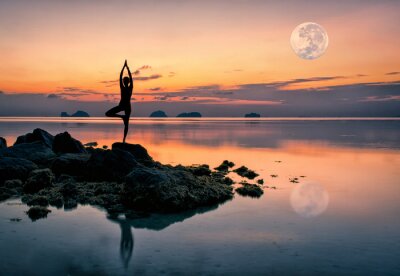Tableau  Femme en position de yoga sur des rochers au bord de la mer