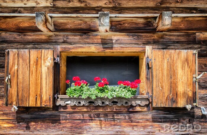 Tableau  Fenêtre en bois avec des fleurs