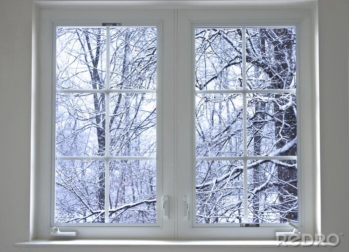 Tableau  fenêtre en hiver