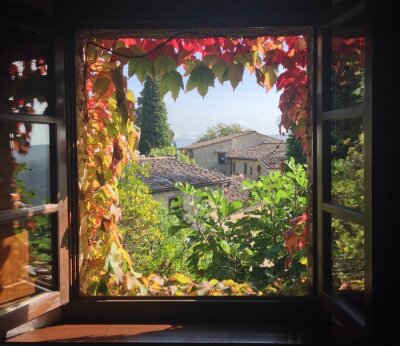 Tableau  Fenêtre ouverte sur un vignoble