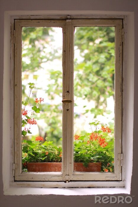 Tableau  Fenêtre sur le jardin