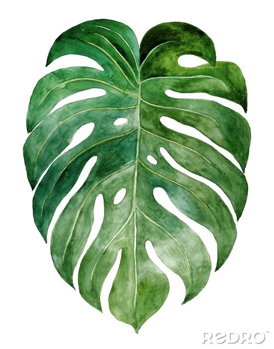 Tableau  Feuille de monstera expressive