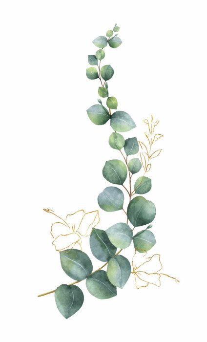 Tableau  Feuilles d'eucalyptus XXL version peinture
