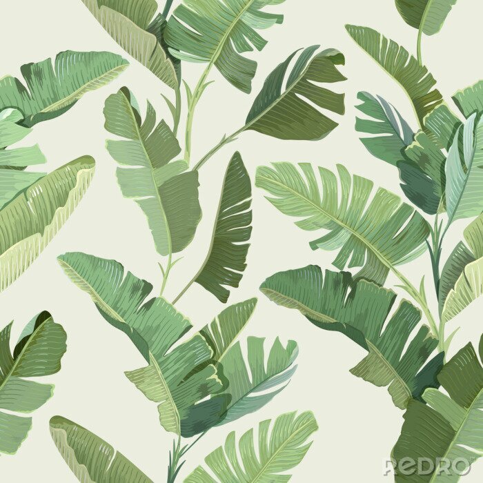 Tableau  Feuilles de bananier sur un fond clair vintage