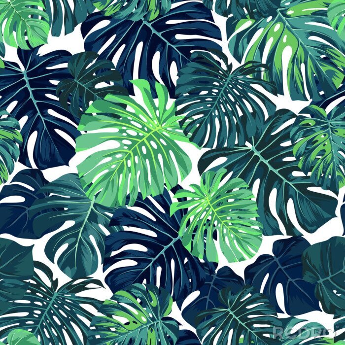 Tableau  Feuilles de monstera dans deux couleurs