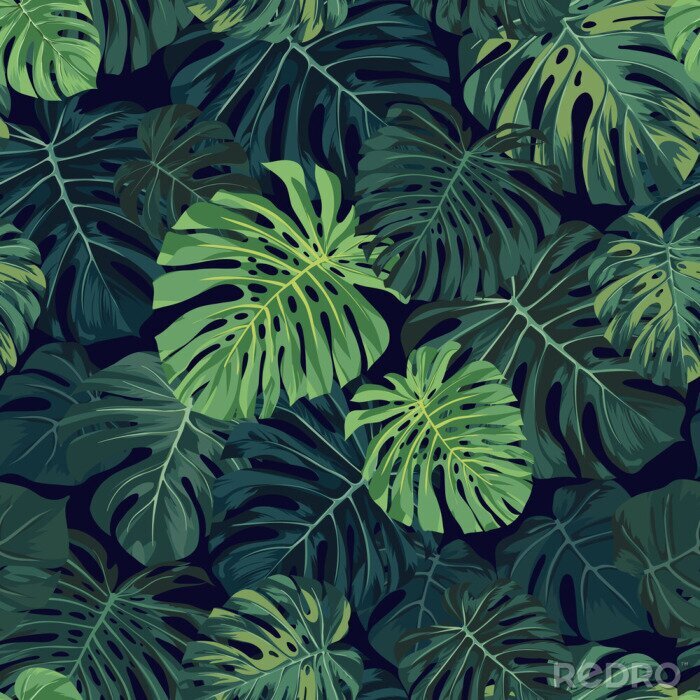 Tableau  Feuilles de Monstera en deux teintes