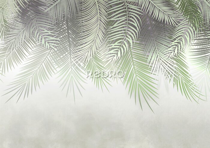 Tableau  Feuilles de palmier brumeuses sur le mur