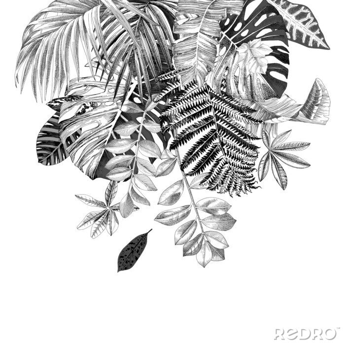 Tableau  Feuilles de plantes tropicales