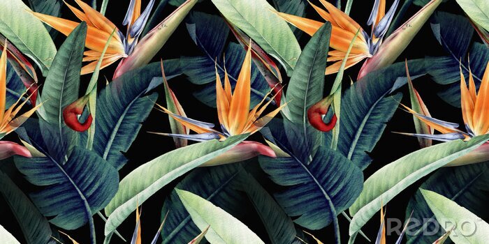 Tableau  Feuilles de plantes tropicales sur fond noir