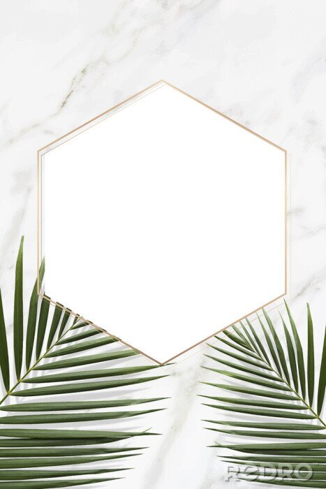 Tableau  Feuilles et cadre sur fond de marbre