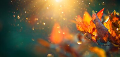 Tableau  Feuilles lumineuses colorées d'automne se balançant dans un arbre dans le parc automnal. Automne fond coloré, toile de fond d'automne