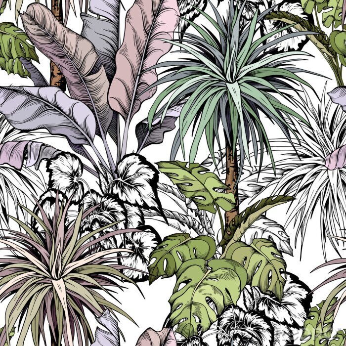 Tableau  Feuilles tropicales et palmiers