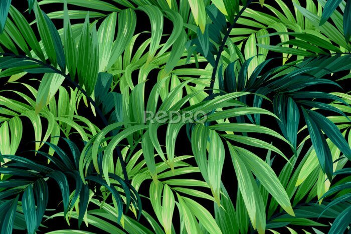 Tableau  Feuilles tropicales vertes sur un fond noir