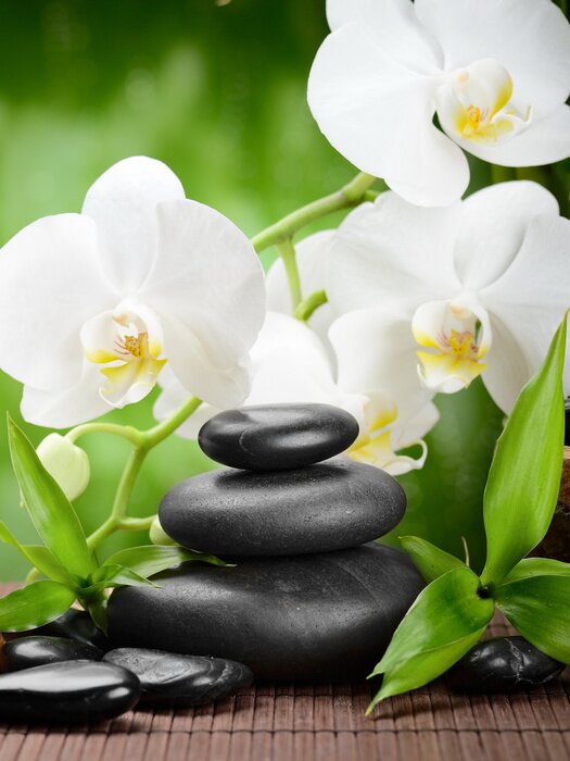 Tableau  Feuilles vertes de bambou, pierre et orchidées