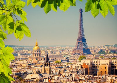 Feuilles vertes et panorama de Paris