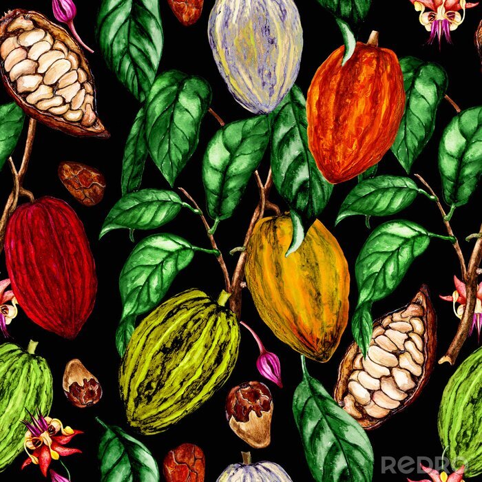 Tableau  Fèves de cacao peintes à l'aquarelle