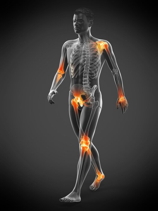Tableau  Figure masculine aux articulations marquées en orange