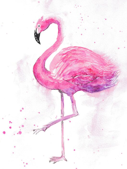 Tableau  Flamant aquarelle sur fond clair