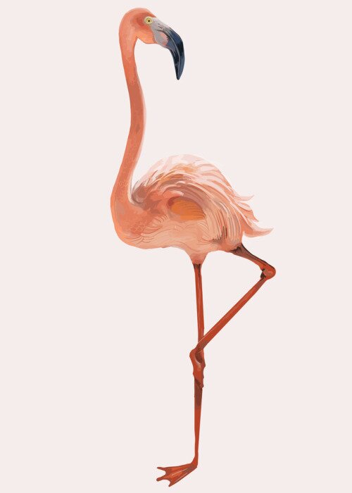 Tableau  Flamant rose sur fond blanc
