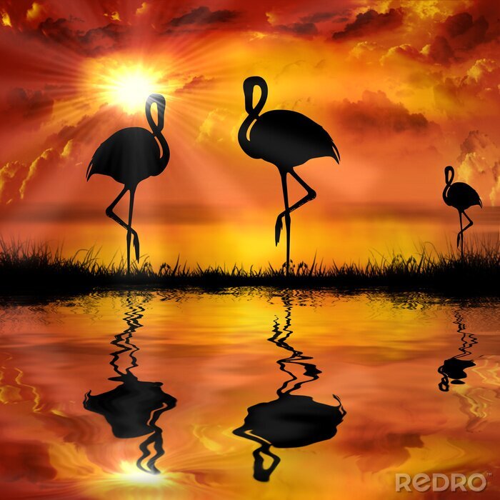 Tableau  Flamants roses au soleil